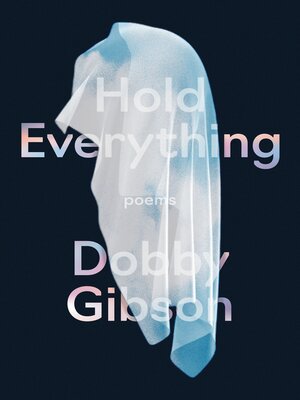 cover image of Hold Everything